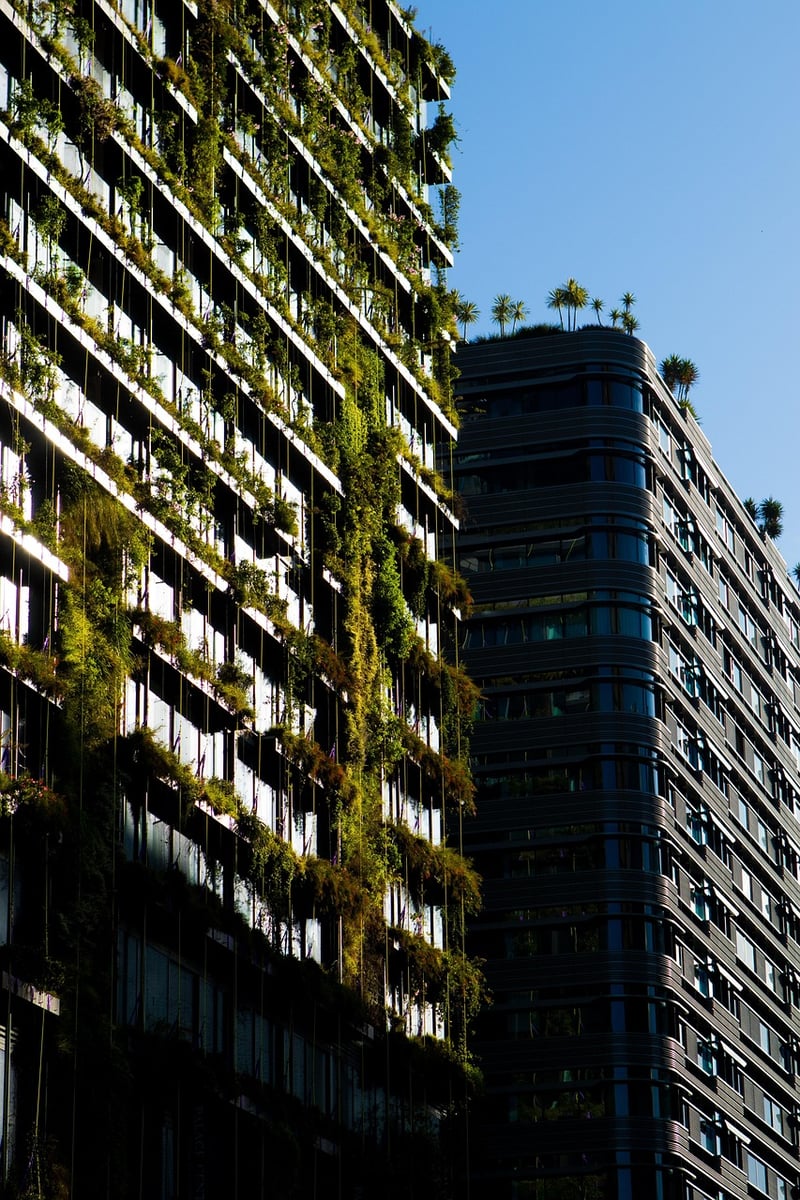 Modern Urban Oasis